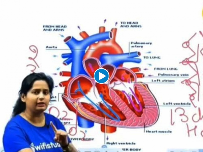Teaching real function of heart gets distracted and talks about pyaar mohabbat watch viral video | हृदयाबद्दल शिकवत होती शिक्षिका, अन् अचानक सुरू झाल्या प्रेमाच्या गप्पा! सोशल मीडियावर व्हिडिओचा धुमाकूळ