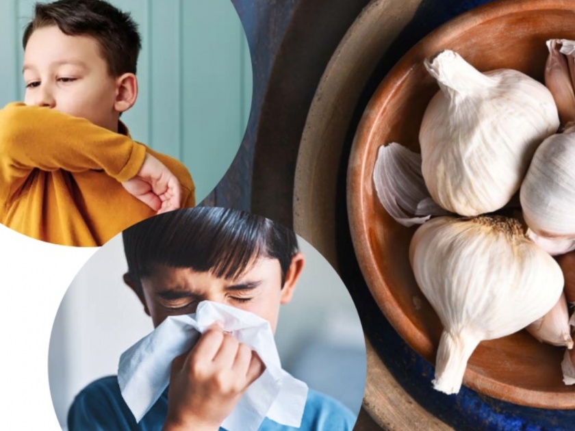 How garlic prevent kids from cough and cold in | लसणाच्या फक्त २ पाकळ्यांनी मुलांची सर्दी, खोकल्याची समस्या होईल दूर; 'असा' करा वापर