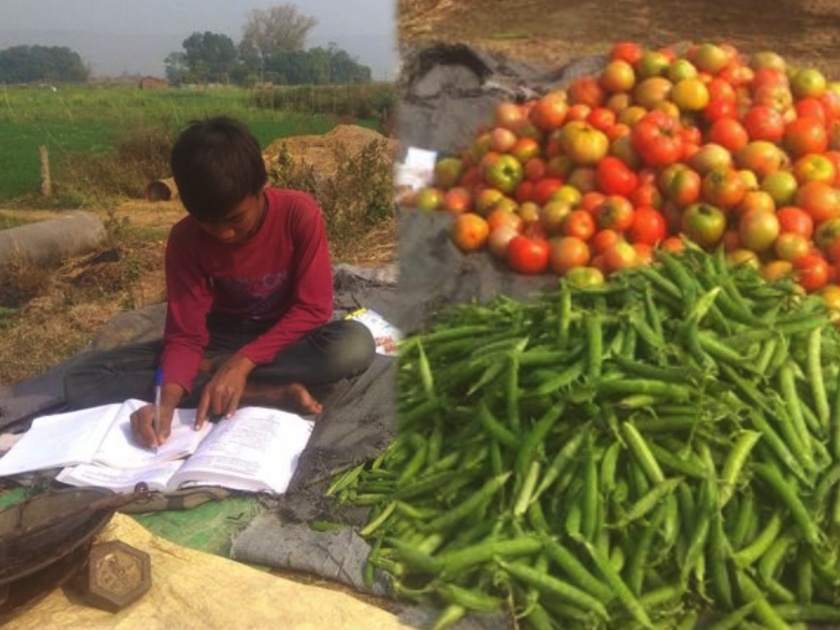 Kids selling vegetables on road and study picture goes viral | शाब्बास पोरा! रस्त्यावर भाजी विकता विकता अभ्यास करणाऱ्या मुलाला पाहून IAS अधिकारी म्हणाले...