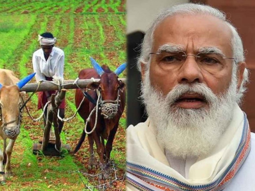 farmers in india kisan gets rs 15 lacs what is fpo in agriculture how many fpo are there in india | मोदी सरकार "या" योजनेअंतर्गत शेतकऱ्यांना देणार 15 लाख; जाणून घ्या कसा होणार फायदा