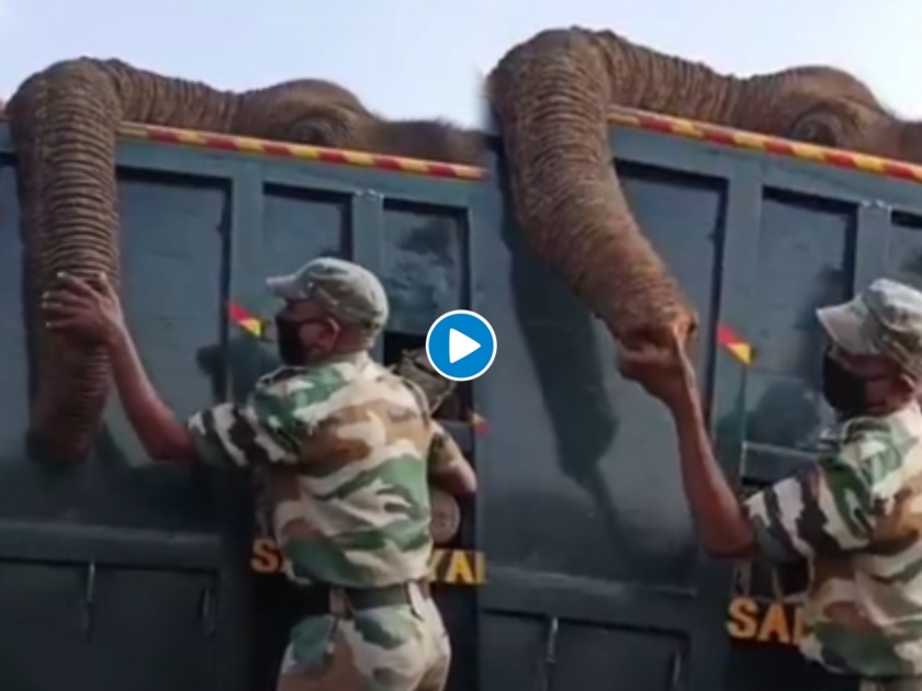 Watch emotional video of ranger who is crying for his elephant death | हृदयद्रावक! हत्तीला अखेरचा निरोप देताना जवानाला अश्रू अनावर, पाहा व्हिडीओ