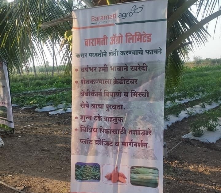 Contract farming is done through Baramati Agro, BJP targets Pawar family by sharing photos | बारामती अ‍ॅग्रोच्या माध्यमातून होतेय कॉन्ट्रॅक्ट फार्मिंग, फोटो शेअर करून भाजपाचा पवार कुटुंबीयांवर निशाणा