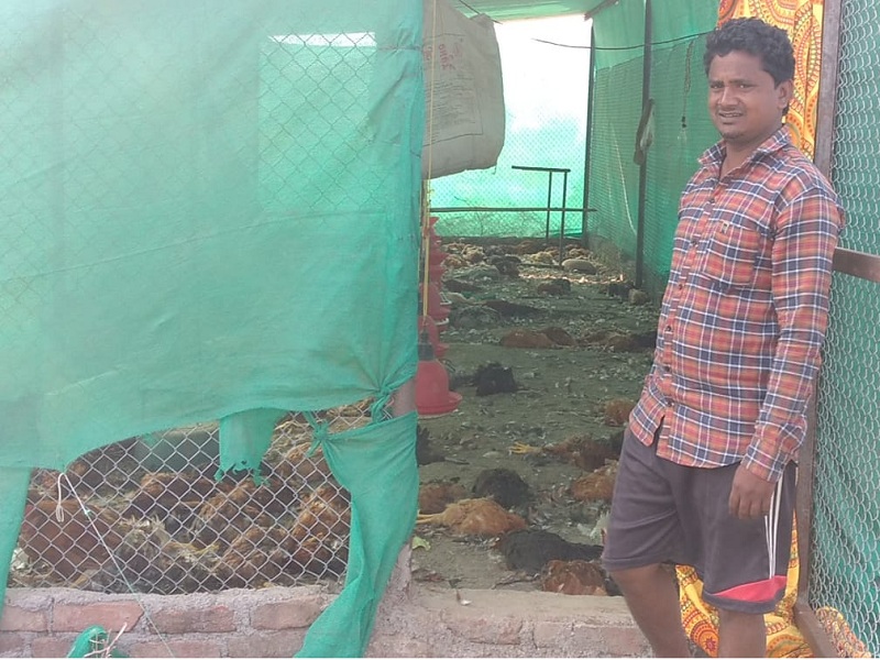 200 chickens die at Belkheda in Kannada taluka | कन्नड तालुक्यातील बेलखेडा येथे २०० कोंबड्यांचा मृत्यू