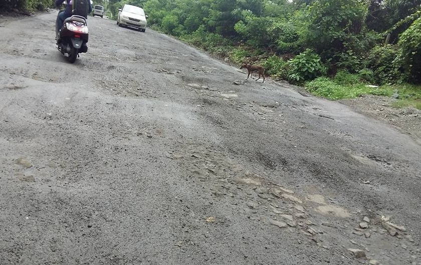 Permission of Center for repair of Alibag-Wadkhal road | अलिबाग-वडखळ रस्त्याच्या दुरुस्तीसाठी केंद्राची परवानगी, दिलीप जाेग यांच्या आंदाेलनाला यश