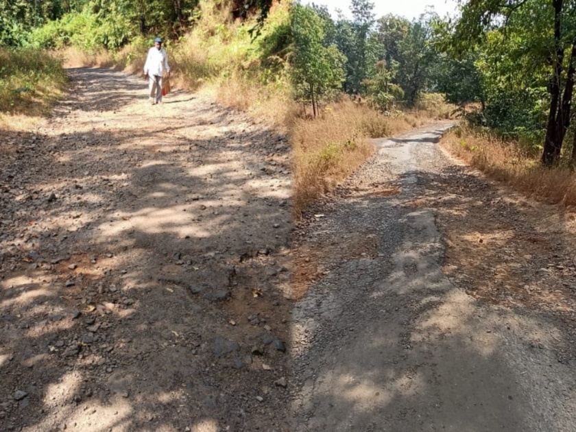 The villagers of Bijghar have to travel with their lives in hand, road not good for travel | रस्त्याची झाली चाळण, बिजघर येथील गावकऱ्यांना करावा लागतोय जीव मुठीत घेऊन प्रवास