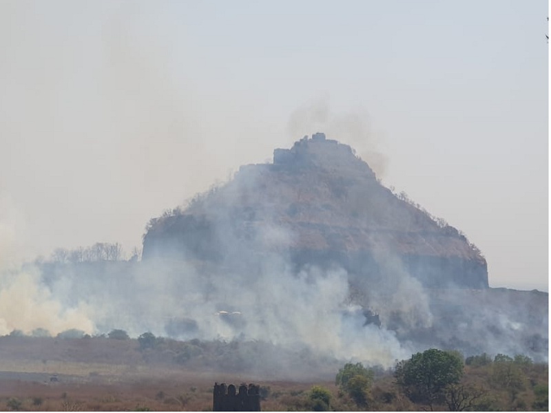 Siege of Daulatabad fort; Millions of forest resources destroyed | ऐतिहासिक दौलताबाद किल्यास आगीचा वेढा; लाखमोलाची वनसंपदा नष्ट