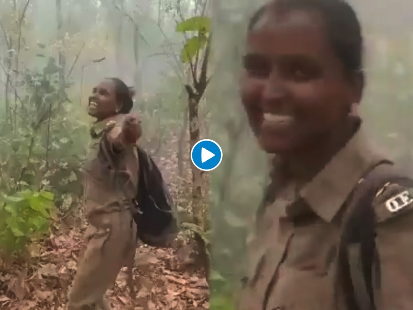 Similipal national park woman forest officer dances in joy as rain showers after forest fire see viral video | Woman forest officer dances: आग लागलेल्या जंगलात अचानक बसरल्या पावसाच्या सरी; आनंदाच्या भरात महिला पोलिसानं धरला ठेका; पाहा व्हिडीओ