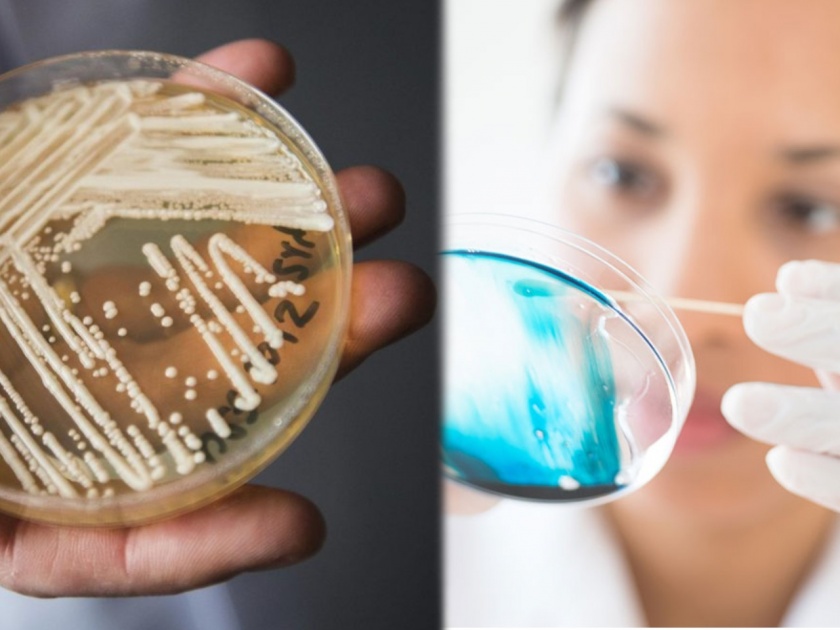 scientists found deadly hospital superbug on andaman and nicobar island india science | संकटं संपता संपेना! कोरोनापेक्षाही खतरनाक सुपरबगने शास्त्रज्ञांच्या चिंतेत भर; माजवू शकतो हाहाकार