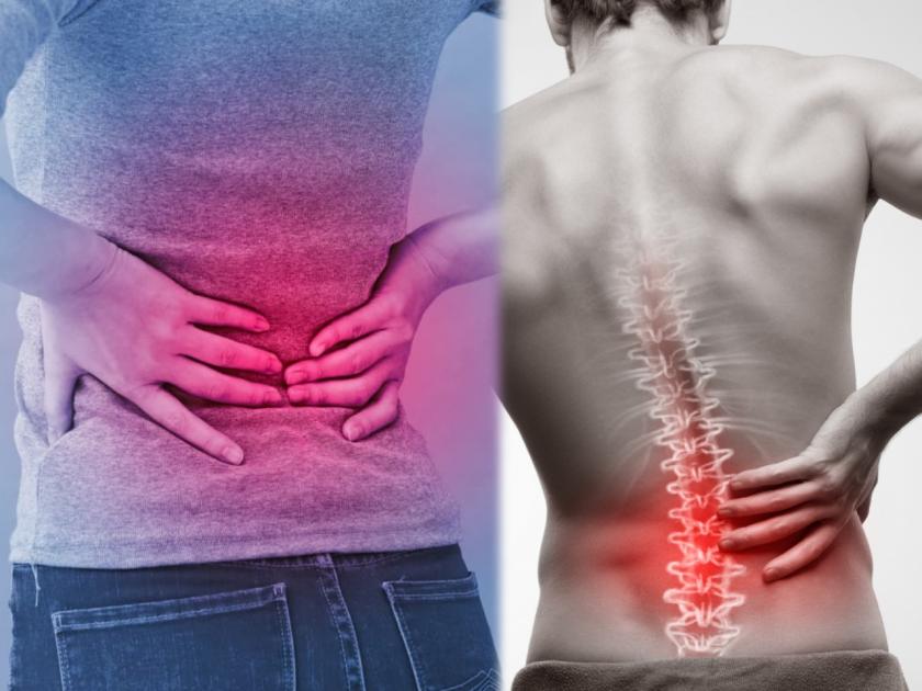 Health Tips in Marathi : How to get rid of long sitting back pain | Back pain : सावधान! जास्तवेळ बसून काम केल्यानं कमी वयातच होऊ शकतो कमरेचा आजार; या उपायांनी  मिळवा आराम