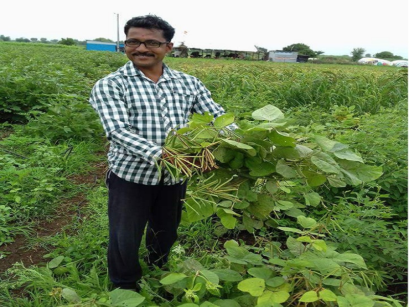 'Glory to the one who makes agriculture' successful '; Devotional Farmer Award announced to Annasaheb Jagtap | 'शेतीला 'सकस' करणाऱ्याचा गौरव'; अण्णासाहेब जगताप यांना शेतिनिष्ठ शेतकरी पुरस्कार जाहीर