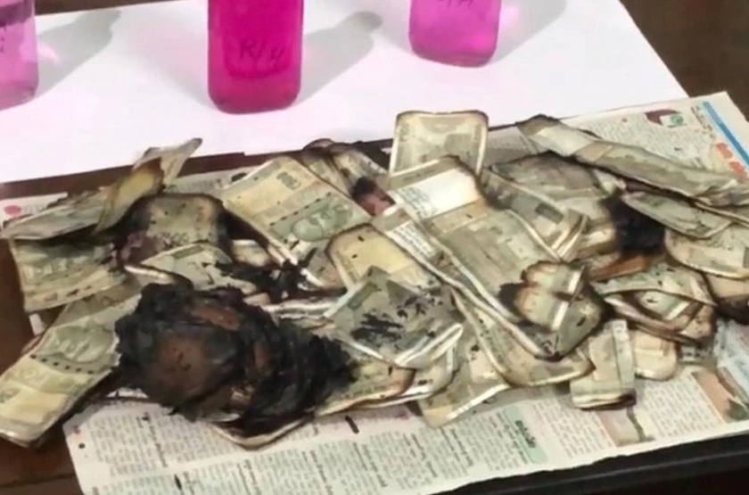 burn currency notes worth rupees 5 lakh gas bribe money tehsildar telangana | बाबो! लाच प्रकरणी पकडले जाण्याच्या भीतीने 'त्याने' चक्क गॅसवर जाळल्या 5 लाखांच्या नोटा अन्...