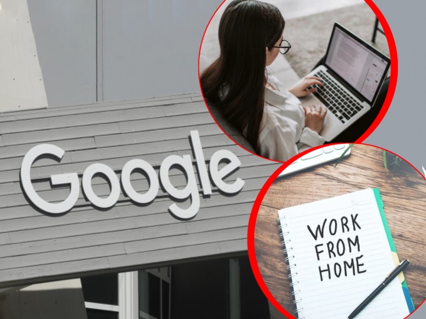 work from home increased google revenue 7400 crore rupee in 2020 offices may open this year | Google ने कर्मचाऱ्यांच्या Work From Home मधूनही 'कमावला' बक्कळ पैसा; तब्बल 7400 कोटींचा फायदा