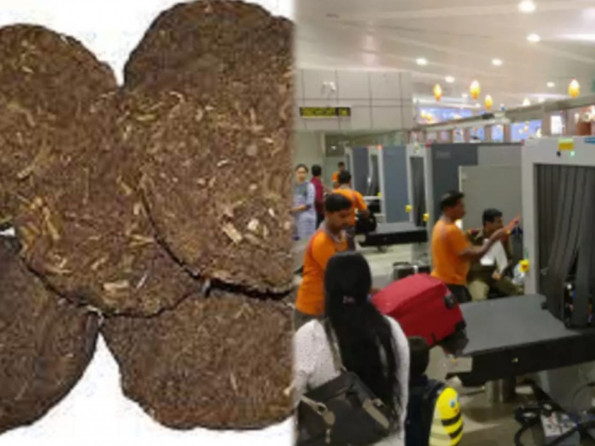 America airport cow dung cakes in leftover baggage of indian passenger | काय सांगता राव! पठ्ठ्यानं भारतातून अमेरिकेत नेल्या शेणाच्या गोवऱ्या; एअरपोर्टवरच कारवाई झाली अन् मग....