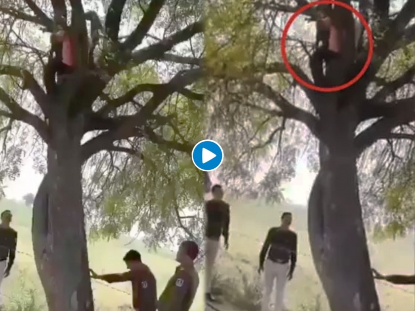 Man climbed the tree watch how policemen catch him ips shared viral video | Man climbed tree : बोंबला! पोलिसांकडून पाठलाग सुरू असतानाच; नजर चूकवत झाडावर जाऊन बसला आरोपी, मग घडलं असं.....