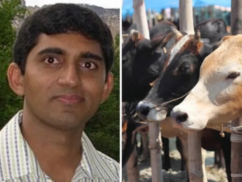 IIT alumnus Kishore Indukuri quits US job to buy 20 cows, his dairy brand is now making Rs 44 crore | मानलं भावा: अमेरिकेतील गलेलठ्ठ पगाराची नोकरी सोडून पठ्ठ्याने घेतल्या २० गाई, ४४ कोटींची करतोय कमाई!