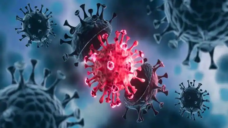 Coronavirus: Chinese researchers find 24 types of corona virus, some similar to covid-19 | Coronavirus: चिनी संशोधकांनी शोधले २४ प्रकारचे कोरोना विषाणू, काही तर...
