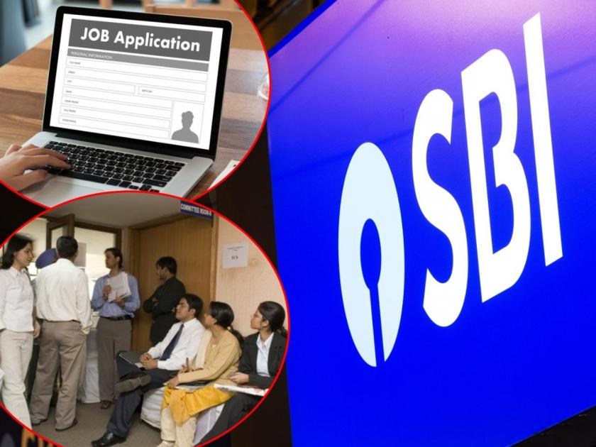 JOB Alert sbi apprentice recruitment 2021 vacancies on apprentice post apply online before 26 july 2021 | JOB Alert : सरकारी बँकेत नोकरीचं स्वप्न पाहणाऱ्यांसाठी सुवर्णसंधी; 'या' पदासाठी मोठी भरती; जाणून घ्या, कसा करायचा अर्ज?