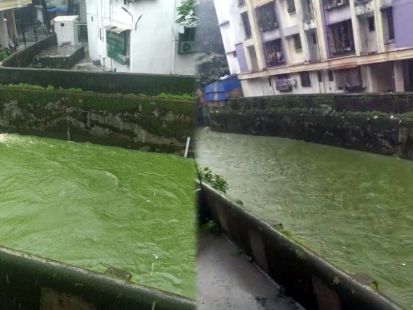 Chemical pollution in Dombivali turns Drain water colour green, KDMC commissioner takes serious note | डोंबिवलीतील केमिकल प्रदूषणामुळे नाल्याचा प्रवाह झाला हिरवा, केडीएमसी आयुक्तांनी घेतली गंभीर दखल