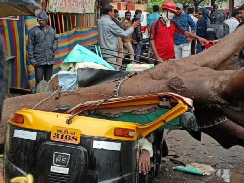 The tree on the rickshaw collapsed and shattered; The driver was killed and one was injured | रिक्षावर झाड कोसळून झाला चक्काचूर; चालकाचा मृत्यू तर एकजण जखमी