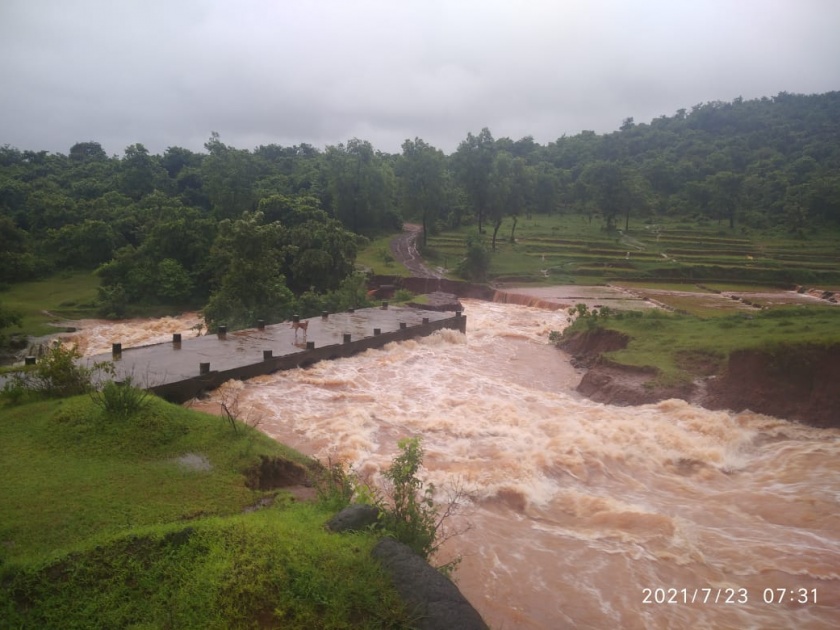 Kolhapur Rain Update: Record break rainfall in the area of Tulsi river; 895 mm in last 24 hours | Kolhapur Rain: तुळशी नदीच्या पाणलोट क्षेत्रात विक्रमी पाऊस; राज्यातील आजवरचे सर्व रेकॉर्ड मोडले