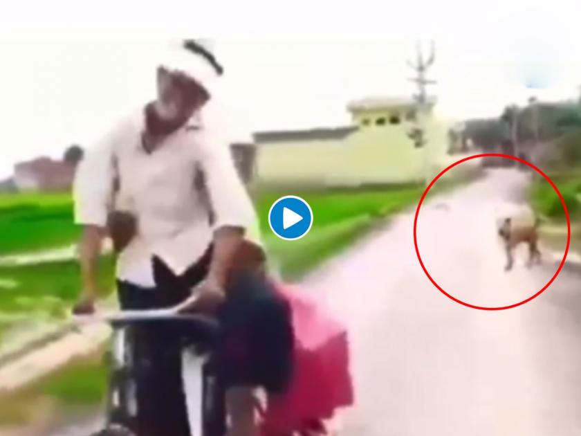 uncle aunty riding cycle sees dog aunty falls in water funny video goes viral | रोमँटीक मुड मध्ये सायकलवर होते काका-काकी, इतक्यात पाहिला कुत्रा अन् शेवट झाला असा की...
