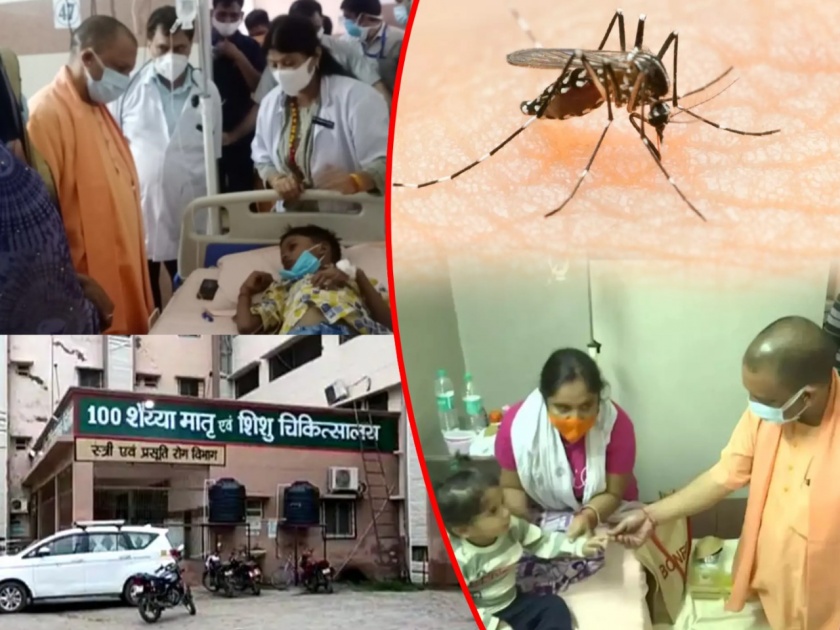 45 Children Die In UP's Firozabad In 10 Days, Dengue Suspected, Probe On | उत्तर प्रदेशमध्ये डेंग्यूचे थैमान! 10 दिवसांत 45 चिमुकल्यांचा मृत्यू; लोकांमध्ये भीतीचे वातावरण