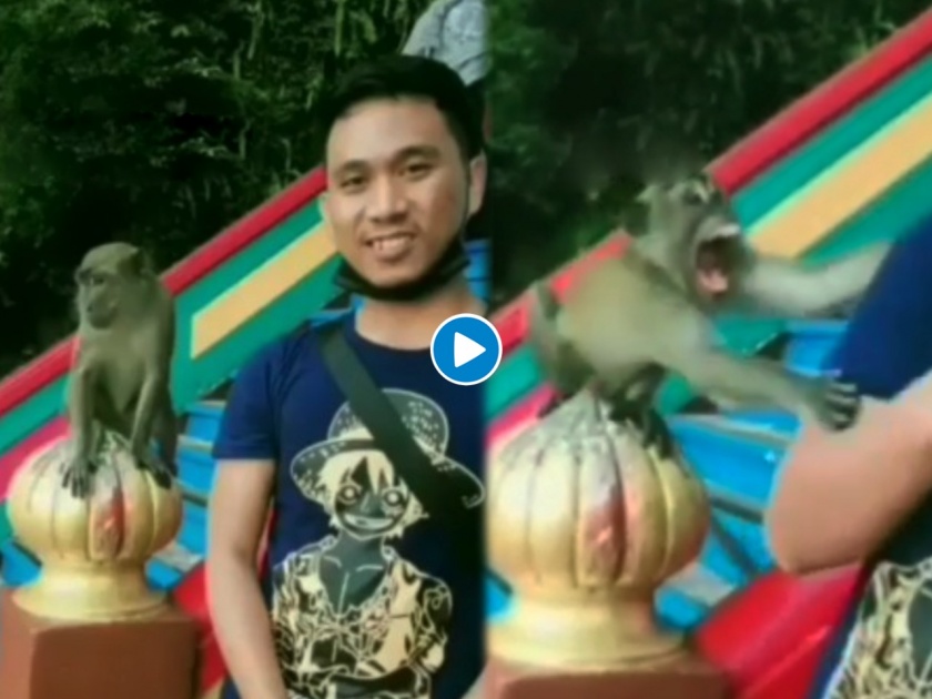 monkey attacks young man while he was taking selfie with him, video goes viral | माकडासोबत सेल्फी काढायला गेला अन् माकडाने केला भयानक हल्ला, महागात पडला हा सेल्फी