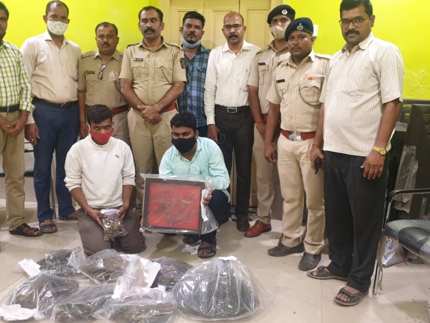 Shocking! Indrajal & animals organs confiscated from Vastu Consultant's office, three arrested | धक्कादायक! महिला वास्तू सल्लागाराच्या कार्यालयातून इंद्रजाल, घोरपडीचे अवयव जप्त, तिघांना अटक