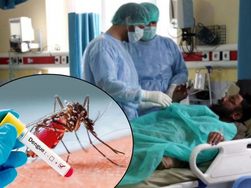 dengue virus changing like corona bhopals doctors surprised | संकटं संपता संपेना! कोरोनासारखं डेंग्यूही बदलतोय आपलं रुप; रुग्णांमध्ये वेगवेगळी लक्षणं, डॉक्टर हैराण