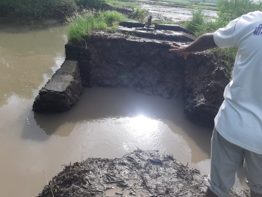 Elgar of farmers against MIDC, damage to agriculture in Shahapur-Dherand due to lack of repair of dams | ‘एमआयडीसी’विरोधात शेतकऱ्यांचा एल्गार, बंधाऱ्यांंच्या दुरुस्तीअभावी शहापूर-धेरंडमधील शेतीचे नुकसान