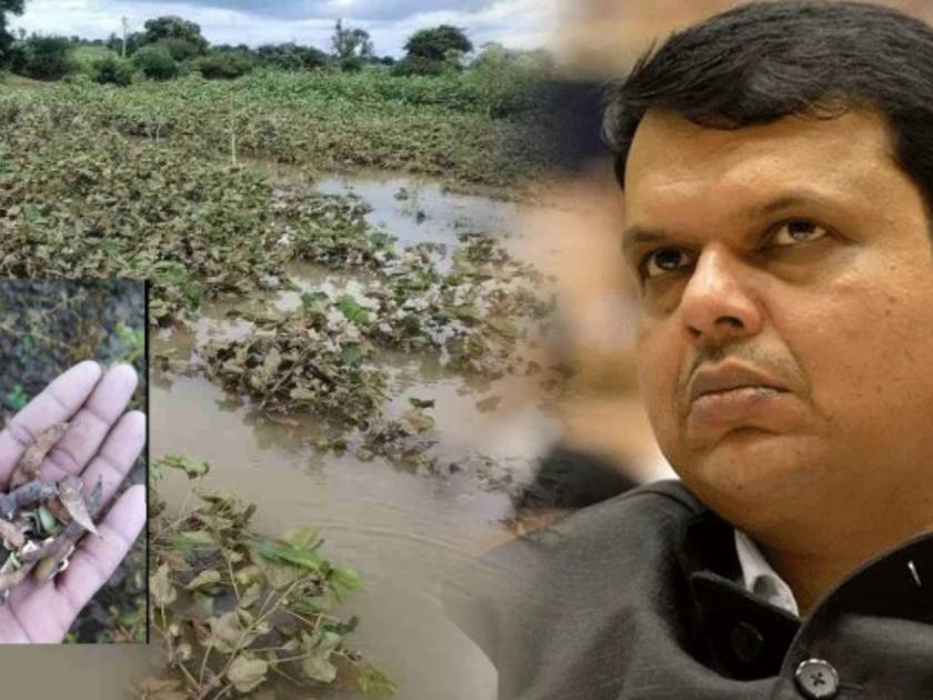 environmentalist atul deulgaonkar claims jalyukt shivar scheme is responsible for flood in marathwada | Jalyukt Shivar: मराठवाड्यातील पूरस्थितीला ‘जलयुक्त शिवार’ कारणीभूत; पर्यावरण तज्ज्ञांचा मोठा दावा 