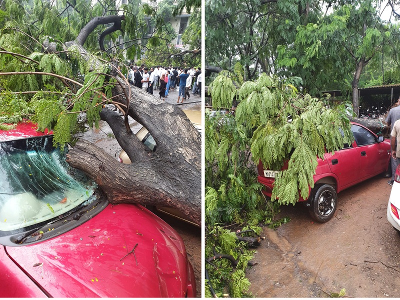 Video: A tree fell on a car parked in the court premises at Aurangabad Session Court, fortunately all four lawyers in the car safe | Video : न्यायालयाच्या आवारात उभ्या कारवर झाड कोसळले, सुदैवाने कारमधील चारही वकील बचावले