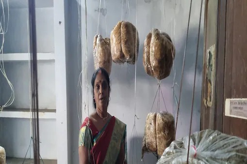 mushroom farming in home housewife and farmer rekha devi earn 3 lakh rupees through this startup | प्रेरणादायी! घरातील रिकाम्या खोलीत 'तिने' केलं 'असं' काही की आता करतेय लाखोंची कमाई 