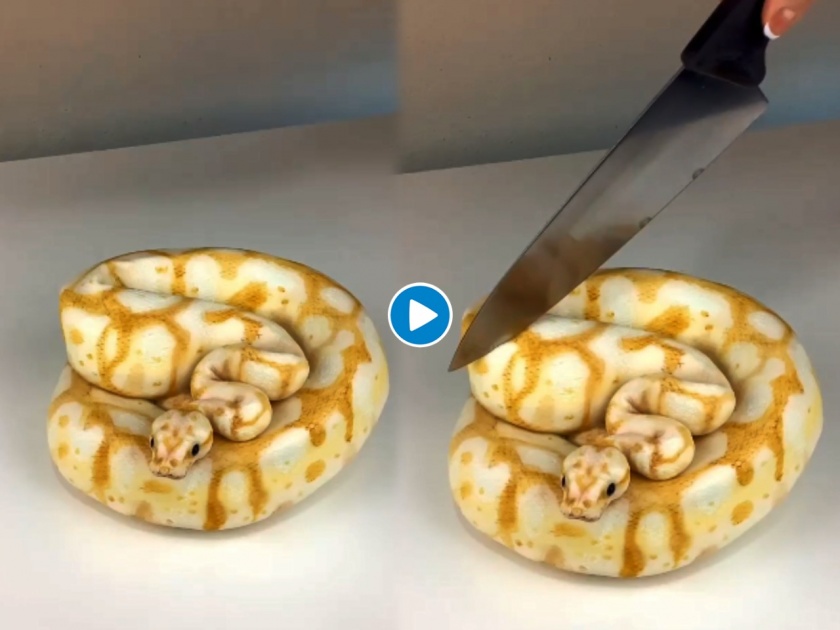 man eating realistic snake cake goes viral, netizens got frightened | बाबो! चक्क सापाचे तुकडे करुन खातोय हा माणूस, व्हिडिओ पाहुन होईल थरकाप