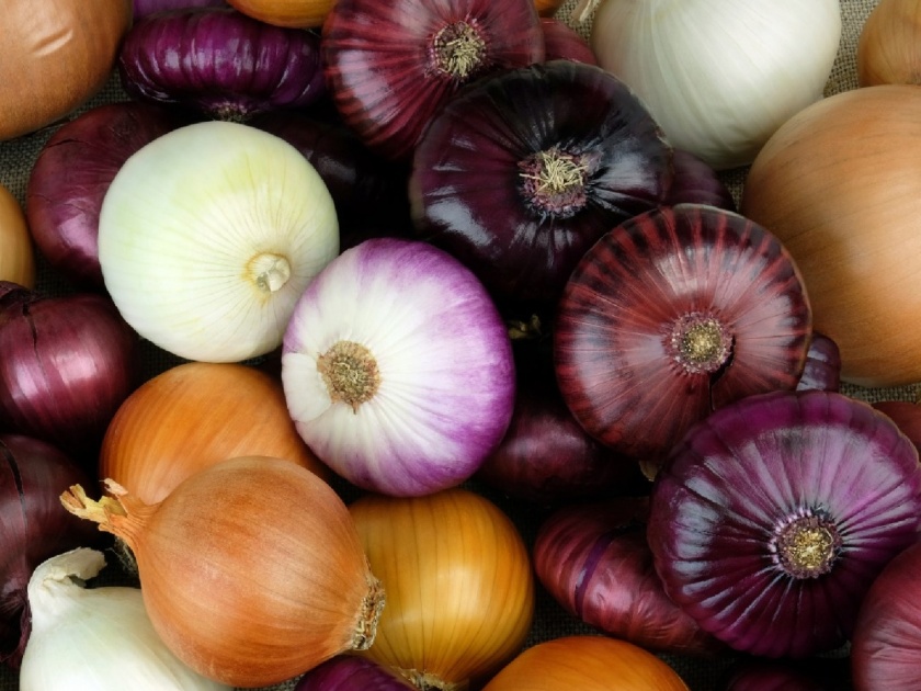 Hundreds In US Fall Sick In Raw Onion-Linked Salmonella Outbreak | कच्च्या कांद्यामुळे फैलावणाऱ्या 'साल्मोनेला' आजाराची वाढतेय दहशत, जाणून घ्या लक्षणं अन् उपाय