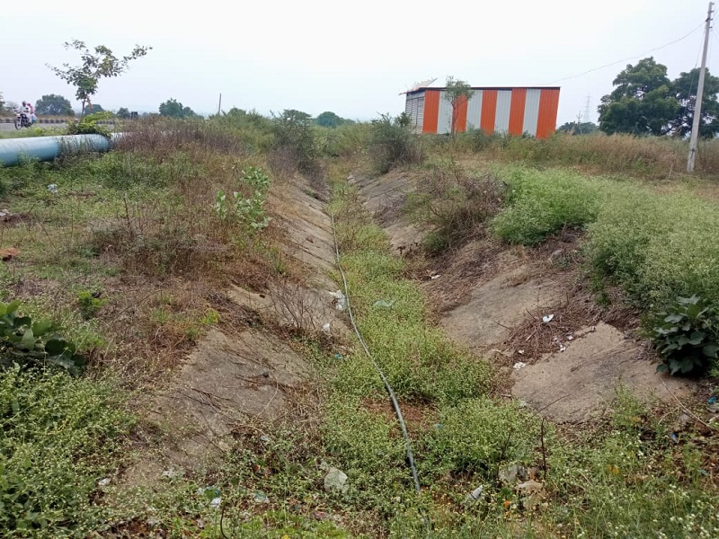 Will Vishnupuri rotation benefit farmers? Waiting for water to reach the dam due to faulty canal | नादुरुस्त कॅनॉलमुळे चिंता वाढली, विष्णुपुरी आवर्तनाचा शेतकऱ्यांना होणार का फायदा ?