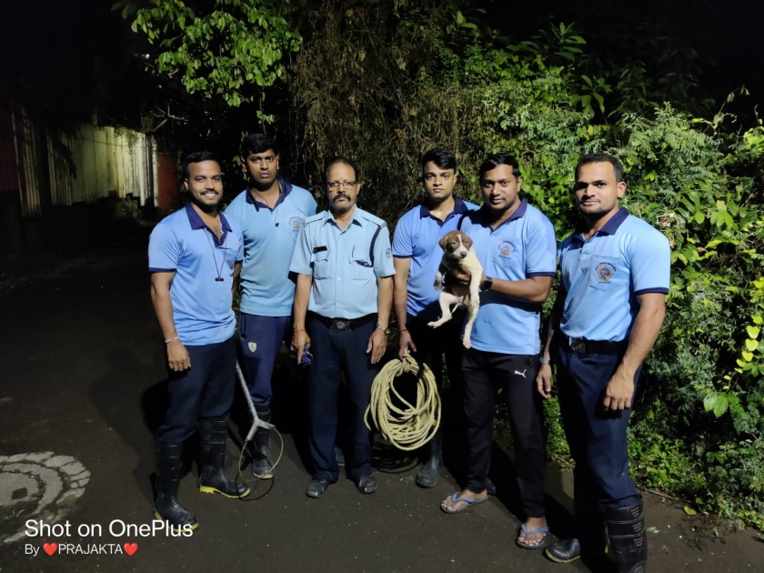 The puppy of a dog that fell into a well received a life donation from the fire brigade of Kalyan Dombivali Municipal Corporation | विहिरीत पडलेल्या श्वानाच्या पिल्लाला कल्याण डोंबिवली महानगरपालिकेच्या अग्निशमन दलाकडून मिळाले जीवनदान