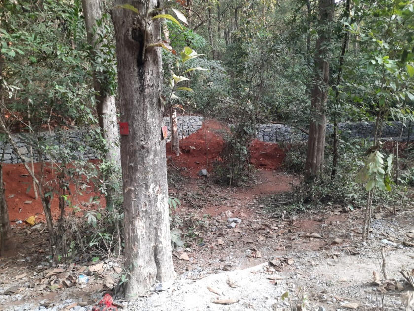 Forest department squanders funds; Protective walls in Amboli Ghat when not needed | नियोजनाअभावी निधीची वनविभागाकडून उधळपट्टी; गरज नसताना आंबोली घाटात संरक्षक कठडे 