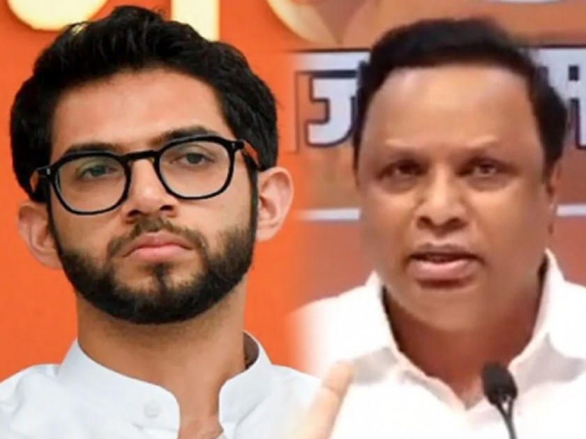 BJP Ashish Shelar Slams Aditya Thackrey And Shivsena Over Mumbai issue | "एवढे दिवस होतात कुठे?, आदित्य ठाकरेंनी मुंबईकरांची माफी मागावी"; आशिष शेलारांचं टीकास्त्र