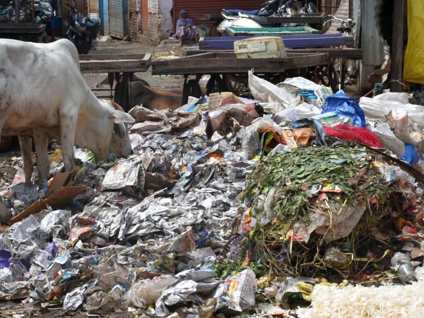 Every day 9 thousand plastic bags pollute the environment of Akola city | दररोज ९ हजार प्लास्टिक पिशव्या करतात अकोला शहराचे पर्यावरण प्रदूषित