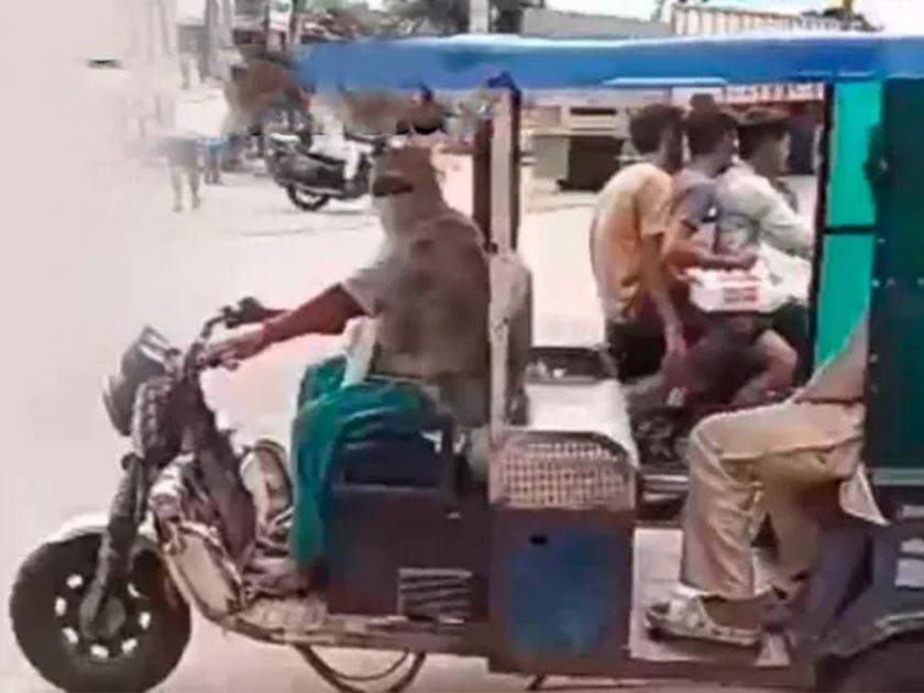up baghpat e rickshaw female driver balesh success story | कडक सॅल्यूट! पतीचं आजारपण, 60 व्या वर्षी 'ती' चालवतेय ई-रिक्षा; कुटुंबासाठी धडपड