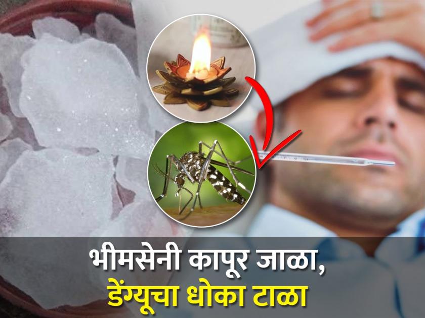 Vastu Shastra : Burn Bhimseni camphor, prevent the risk of dengue; Read the proper way to use Bhimseni camphor! | Vastu Shastra : भीमसेनी कापूर जाळा, डेंग्यूचा धोका टाळा; वाचा भीमसेनी कापूर वापरण्याची योग्य पद्धत! 