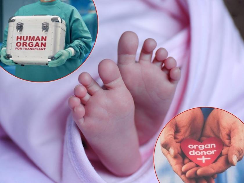 20 month old riyansh gave new life to 5 children parents donated his organs | मरावे परी कीर्तिरूपे उरावे! 20 महिन्यांच्या रियांशने 5 मुलांना दिलं नवजीवन; केलं अवयव दान