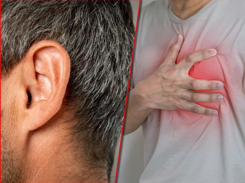 silent killer heart attack warning signs are also found in the ears claims latest study | चिंताजनक! हार्ट अटॅक येण्याआधी कानामध्ये दिसतं 'हे' लक्षण; रिसर्चमध्ये धक्कादायक खुलासा