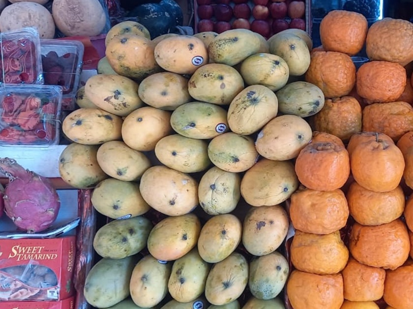 Good news for foodies; 'Badam' mango entered the market | खवय्यांसाठी आनंदाची बातमी; ‘बदाम’ आंबा बाजारात दाखल