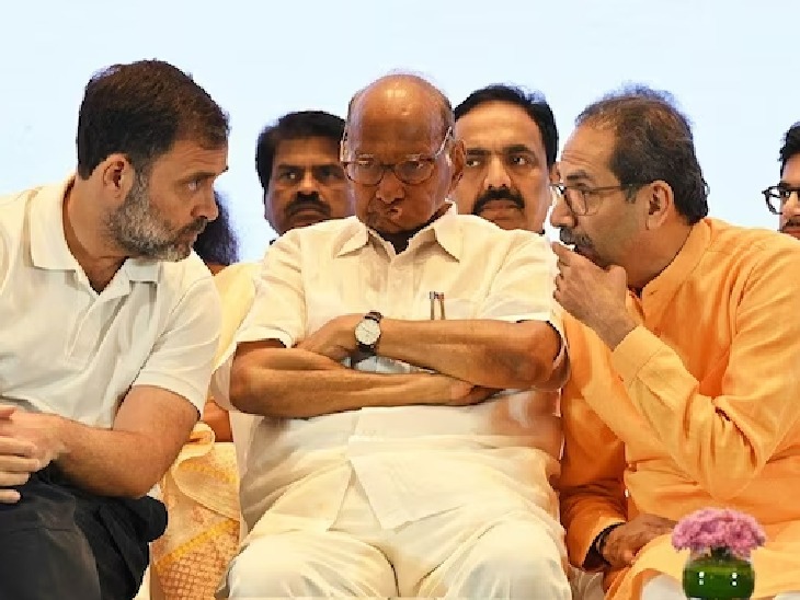 Lok Sabha Elections 2024 BJP Ashish Shelar Slams india opposition alliance | Ashish Shelar : "यांना मोदींच्या भीतीनं घेरलंया, डोकं फिरलंया आघाडीचं डोकं फिरलंया?"; भाजपाचा खोचक टोला