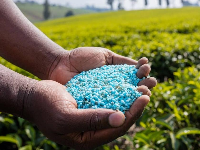 'Linking' of fertilizers to farmers | खतांचे 'लिंकिंग' शेतकऱ्यांच्या बोकांडी