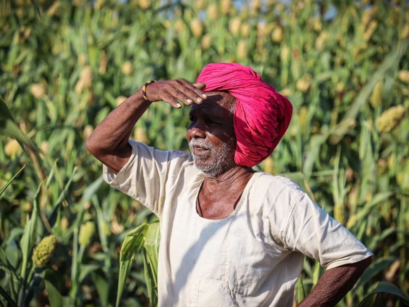 From hectare to acre, 75 percent of farmers are smallholders | हेक्टरवरून आले एकरावर, ७५ टक्के शेतकरी अल्पभूधारक