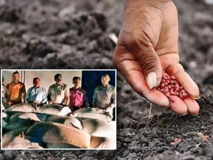 A raid on a barn; 76.56 lakh stolen BT cotton seeds seized | गुदामावर धाड; ७६.५६ लाखांचे चोर बीटी कापूस बियाणे जप्त