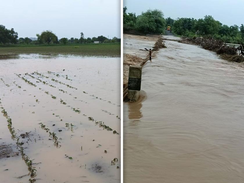 Rain lashed Yavatmal district | यवतमाळ जिल्ह्याला पावसाने झोडपले